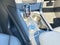 2026 Cadillac XT5 AWD Premium Luxury